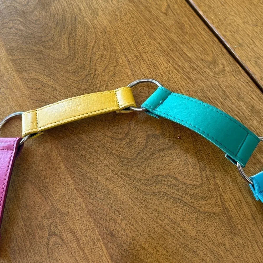 Vintage Express belt